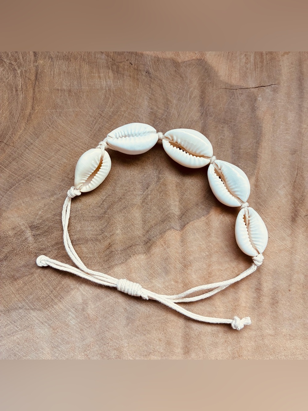 Cowrie Shell Bracelet Adjustable White Cord Beach Boho Surf Coastal Jewelry New